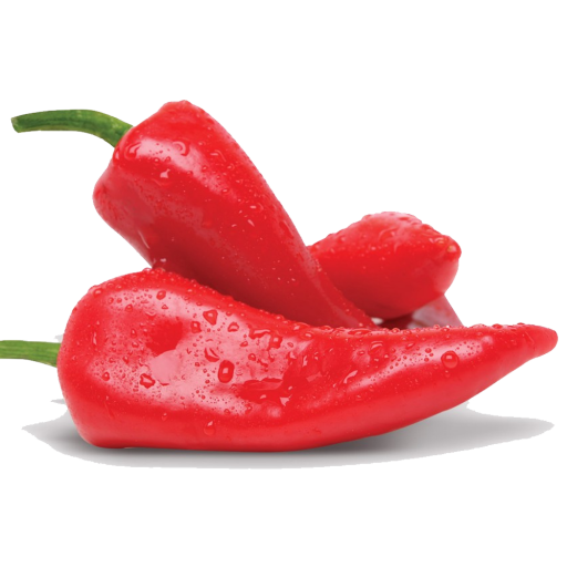 Kapya Biber Fidesi